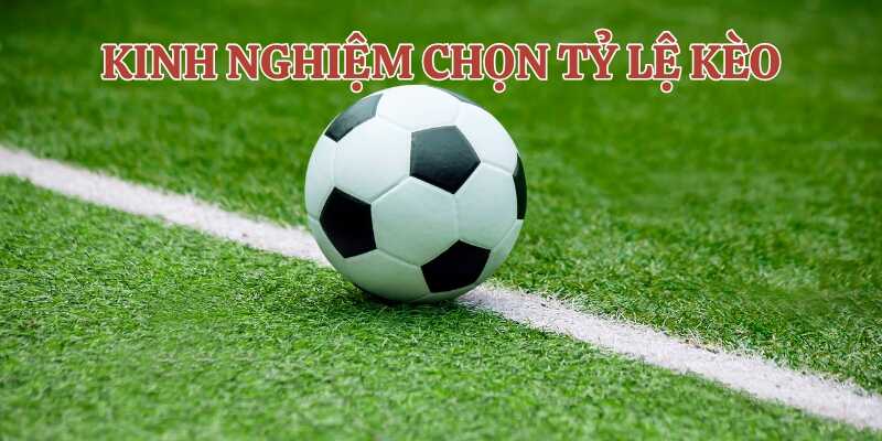 Áp dụng các kinh nghiệm chọn tỷ lệ kèo AFF Cup