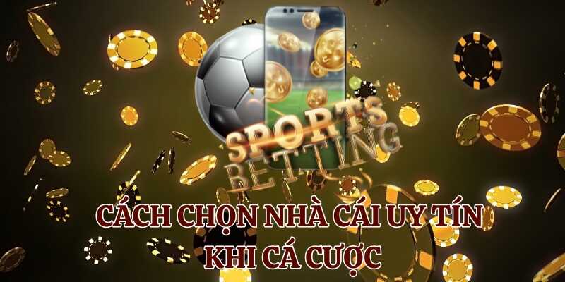 Tham khảo cách chọn nhà cái uy tín khi cá cược 