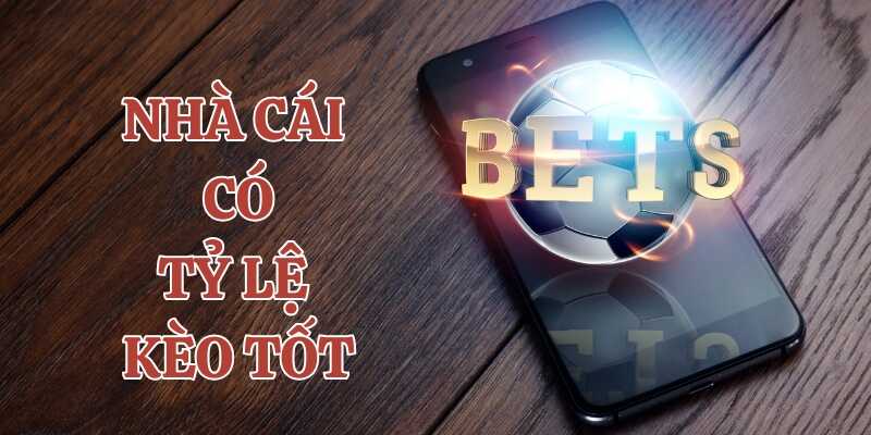 Tham khảo lý do nên chọn nhà cái có tỷ lệ kèo tốt