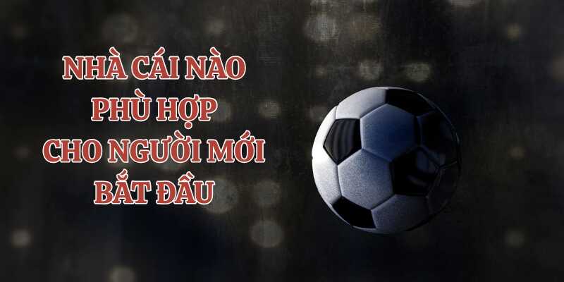 Tiêu chí chọn nhà cái nào phù hợp cho người mới bắt đầu