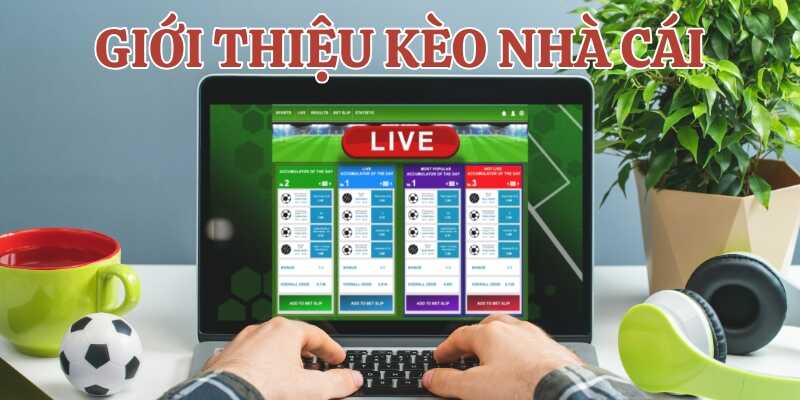 Tìm hiểu giới thiệu chuyên sâu về Kèo nhà cái