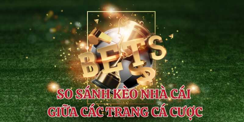 Tìm hiểu vai trò so sánh kèo nhà cái giữa các trang cá cược